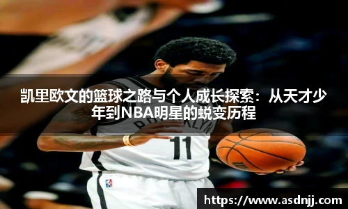 BB贝博